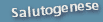 Salutogenese